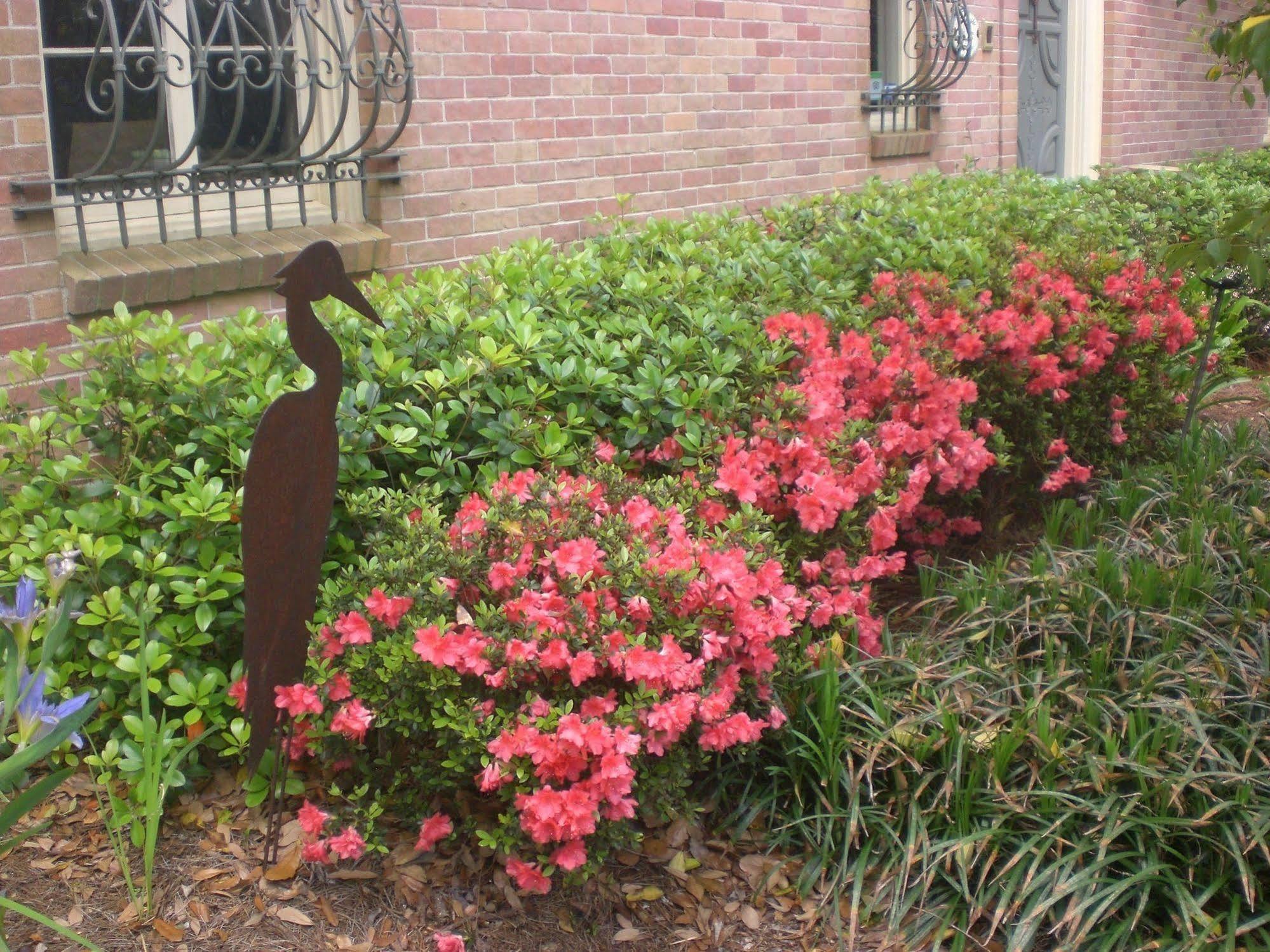 The Stockade Bed And Breakfast Baton Rouge Exterior foto